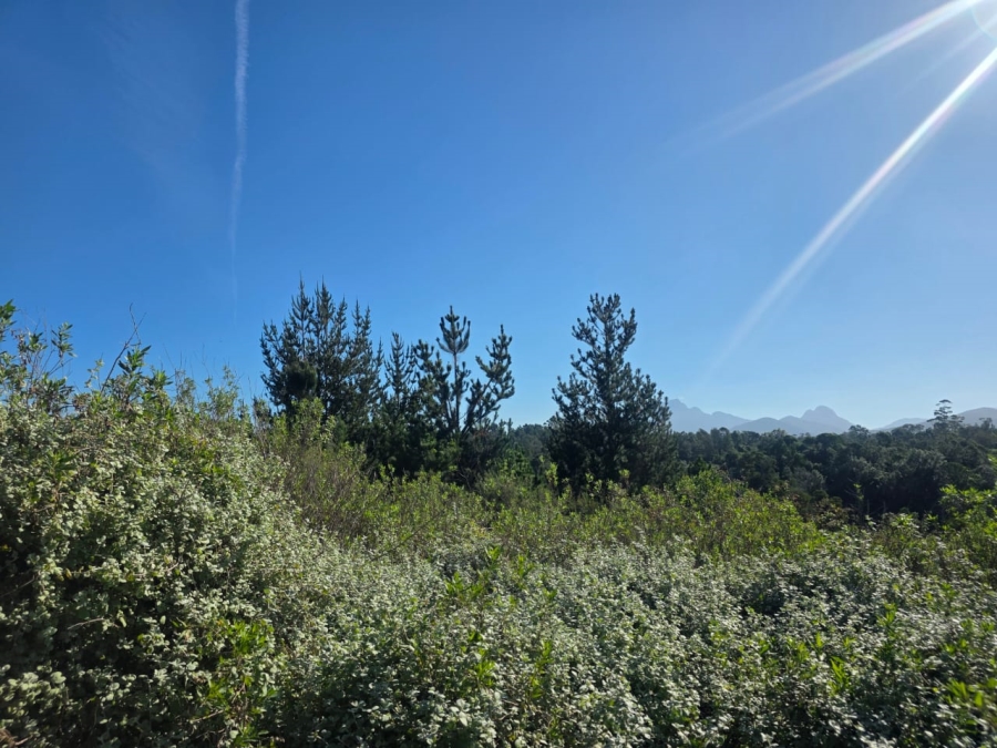 Commercial Property for Sale in Wilderness Heights Western Cape